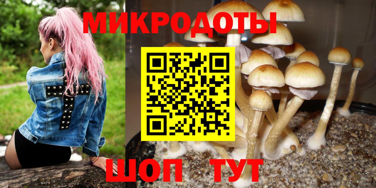 Псилоцибиновые грибы мухоморы  Вход с VPN  Ишим 