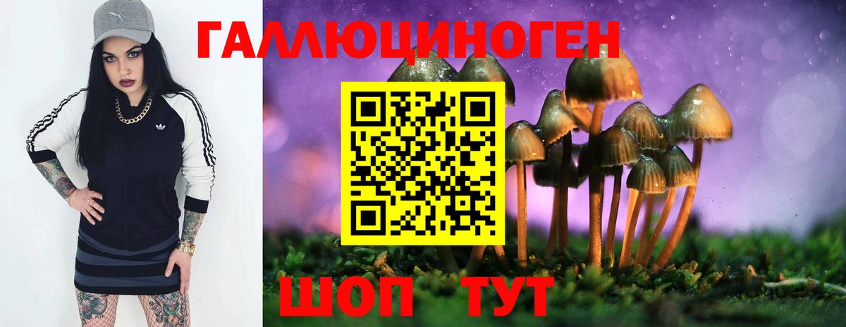 Псилоцибиновые грибы Cubensis Ишим